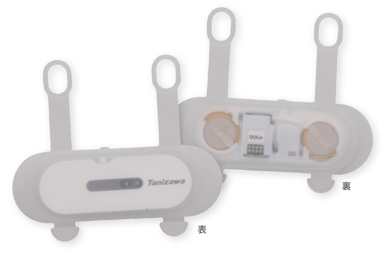 熱SEE本体の裏と表