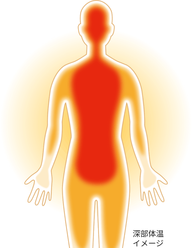 深部体温イメージ