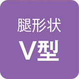 腿形状V型
